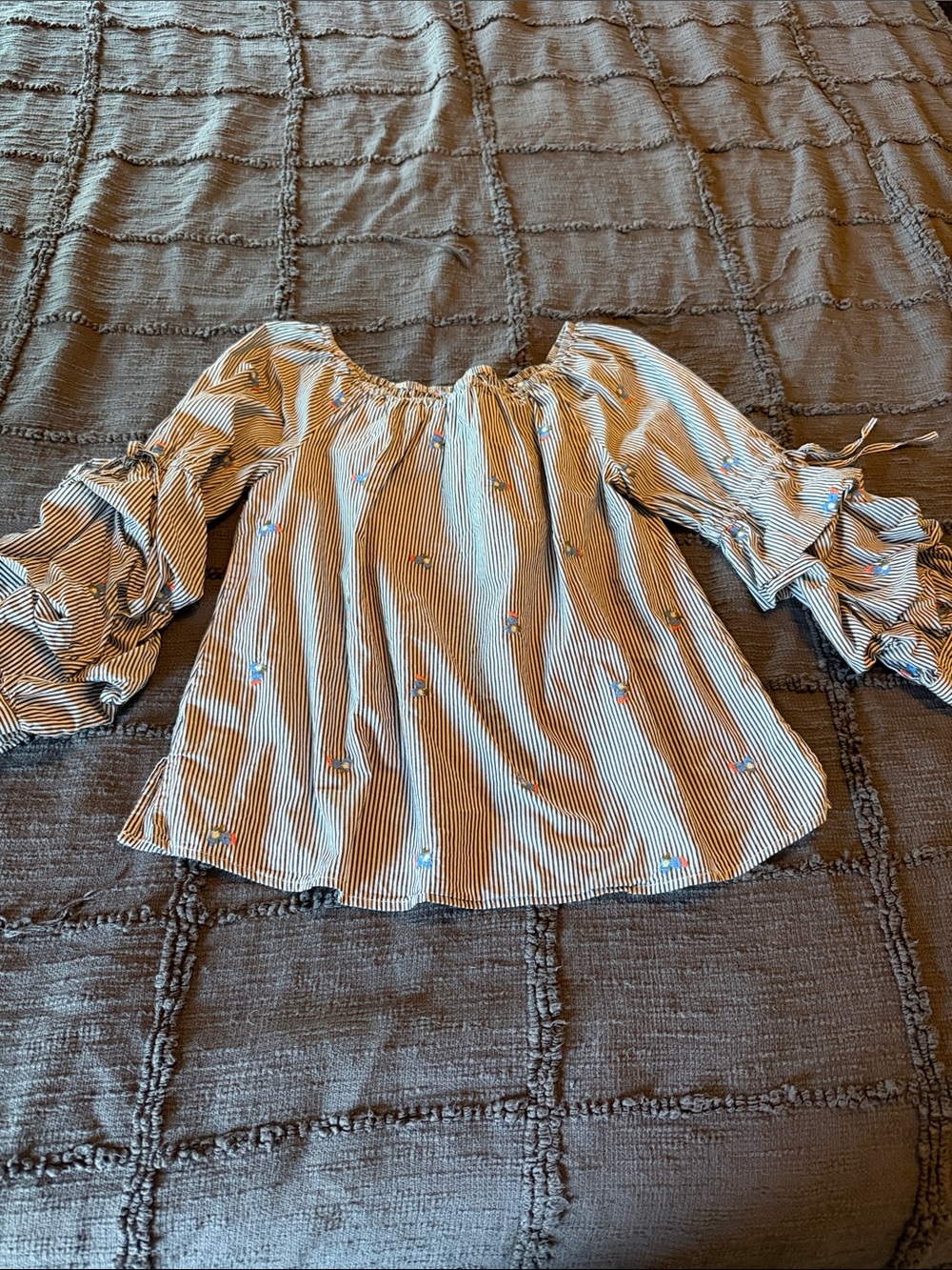 Sanctuary Blue & White Striped Peasant Blouse with Floral Embroidery